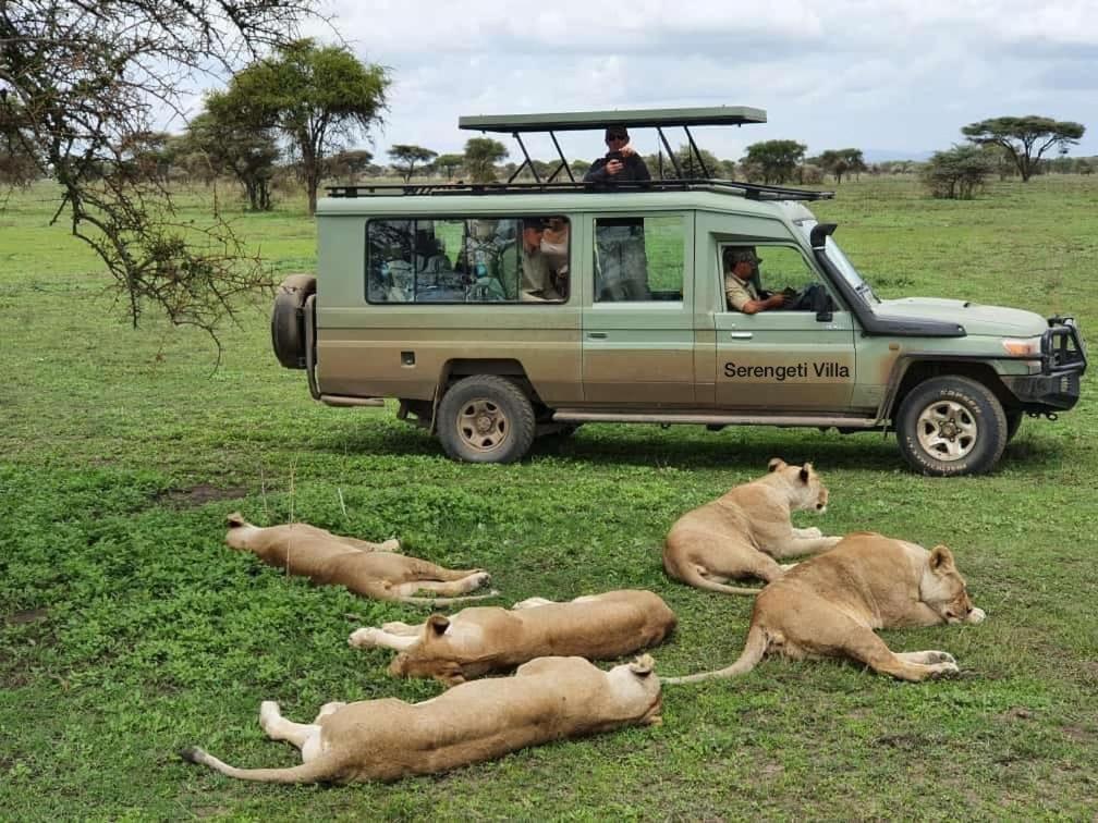 Serengeti Villa Arusha Exteriör bild