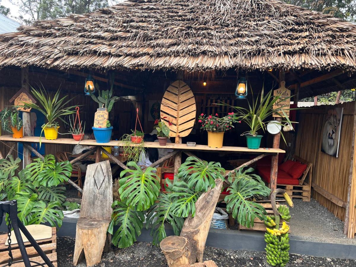 Serengeti Villa Arusha Exteriör bild